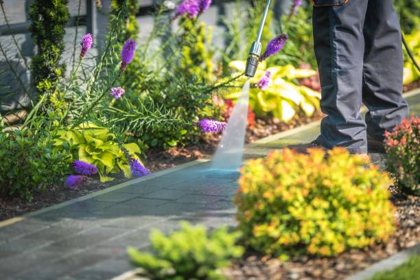 Best Sidewalk and Walkway Cleaning  in Manhattan, IL
