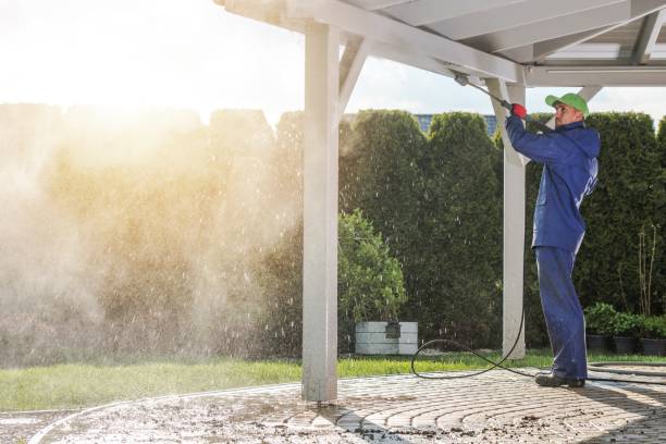 Best Gutter Cleaning  in Manhattan, IL